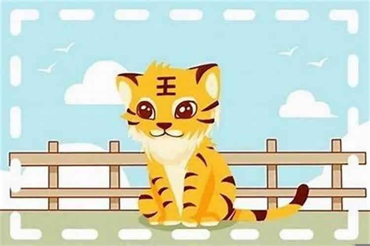 六二年属虎今年多大