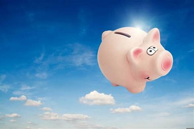 1971年属猪的人命运