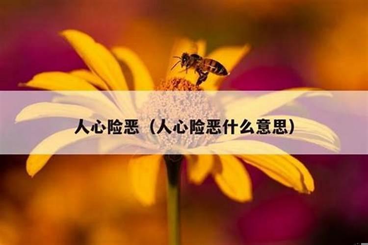 为什么会觉得人心是险恶的