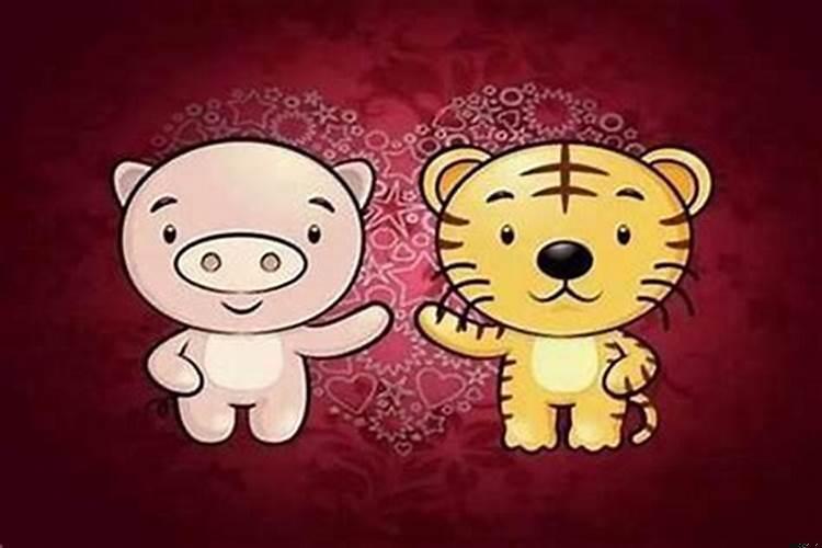 女属猪配什么属相最好婚姻