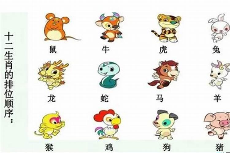 十二生肖的顺序是怎么排的