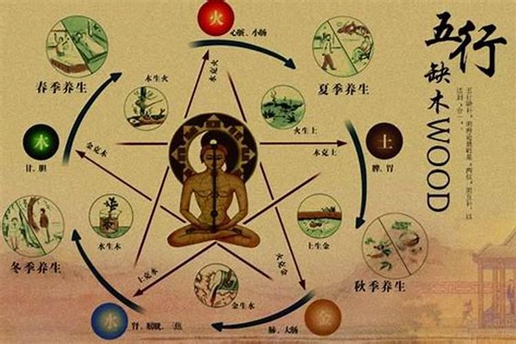 八字中五行缺木怎么办