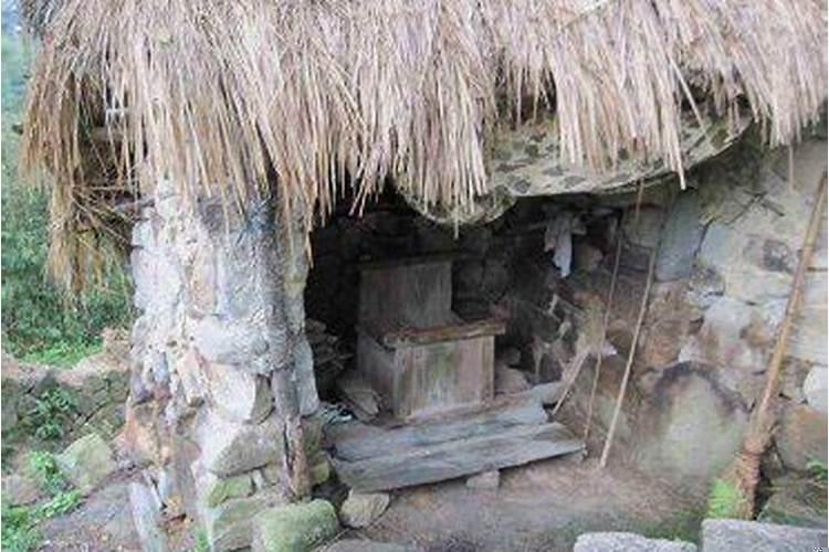 梦到跳茅坑预示着什么意思