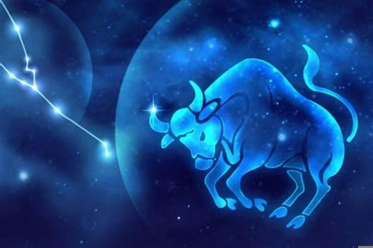 金牛守护星座是什么