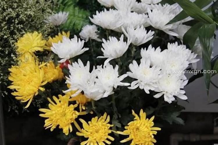 频繁梦见已故长辈什么预兆