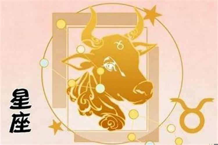 金牛座本月学业运势