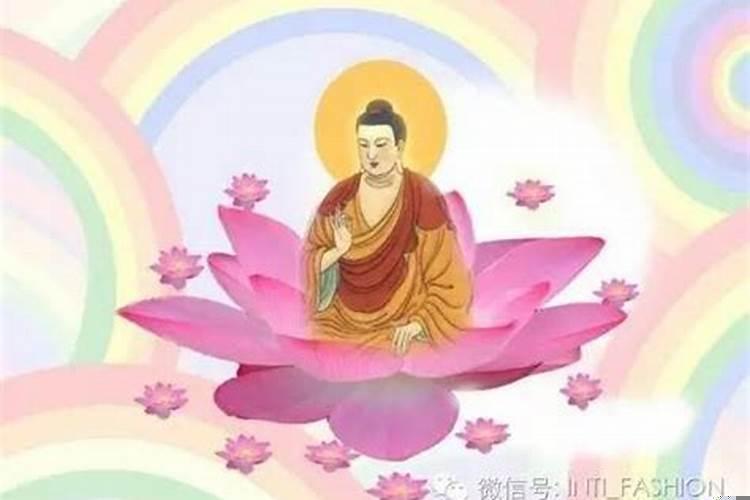 女人就是家里的风水怎么解释