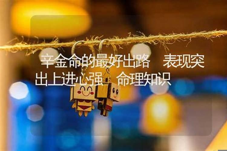 辛金命的最好格局