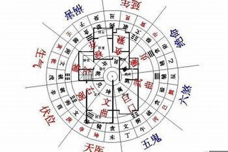 属相和住楼层有关系吗