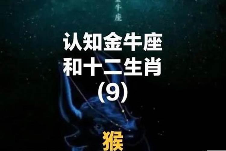 金牛守护星座是什么