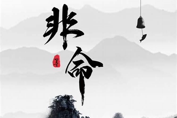 死于非命的意思解释