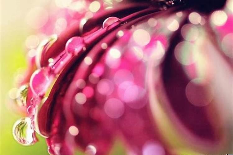 做梦梦见自己妈妈疯了