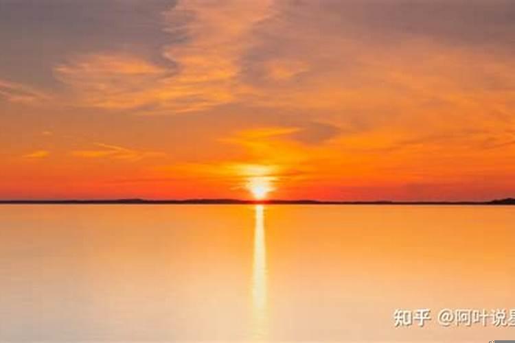 精明理智洞察力强的星座