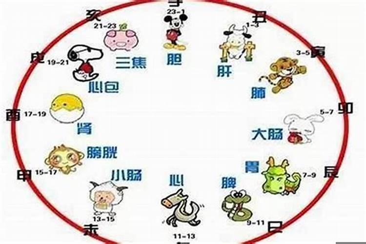 申时与辰时合不合