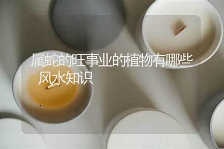 属蛇什么植物比较旺