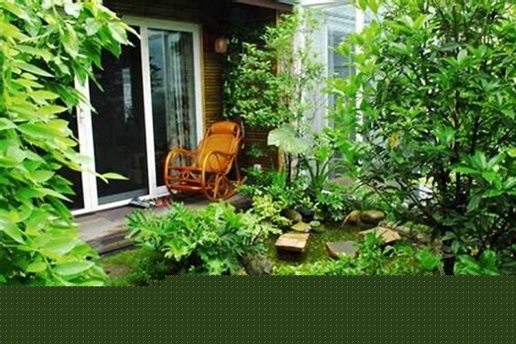 有利风水的花卉