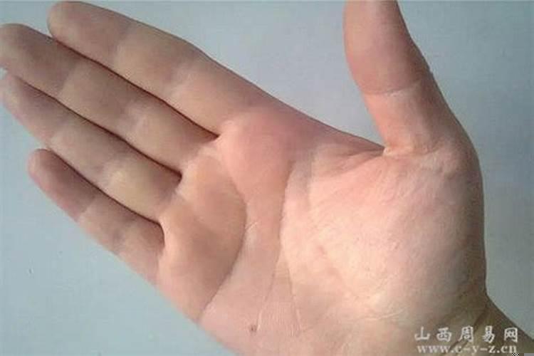 手掌厚实的女人有福气吗