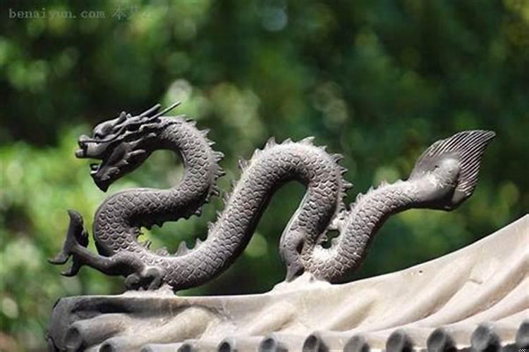 梦见家里有一条小龙