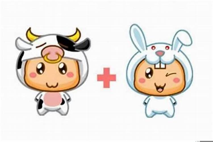 男牛女兔婚姻是否相配好不好