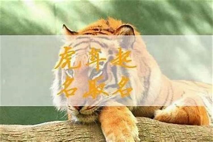 怎样给男虎宝宝起名字最好