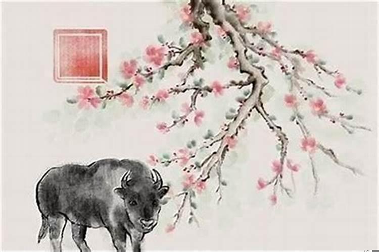 1984年属鼠，一生劫数