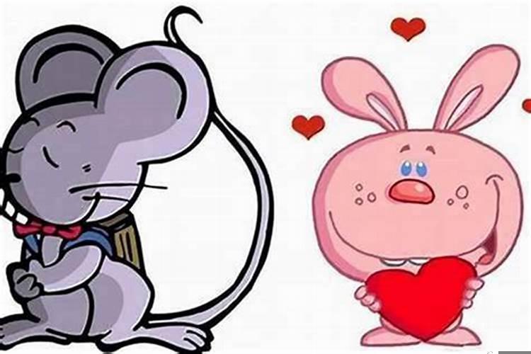 属鼠在兔年结婚好吗