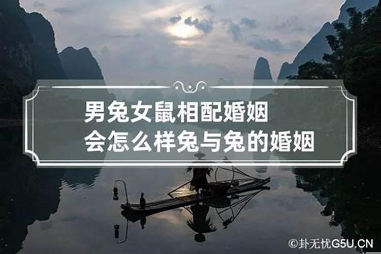 男牛女兔婚姻是否相配好不好