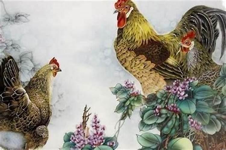 属鸡是哪一年出生的人