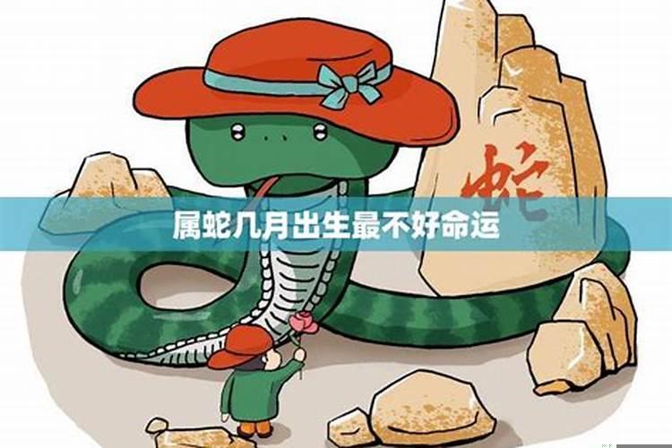 属蛇人2025年2月黄道吉日