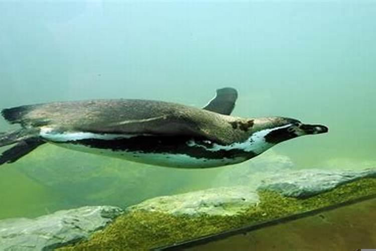 天蝎座女生最适合的职业