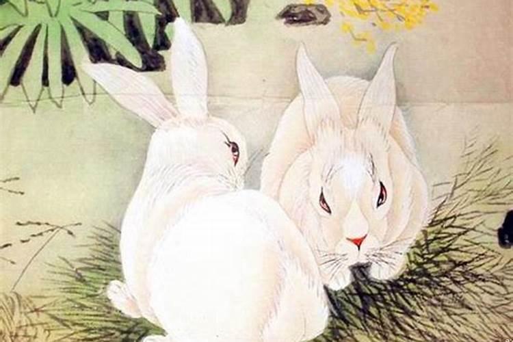 能白头偕老的生肖配对