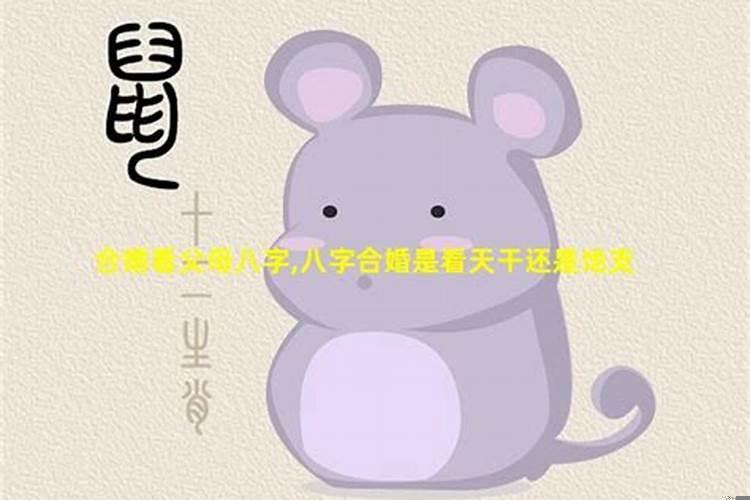 八字合婚看天干还是地支