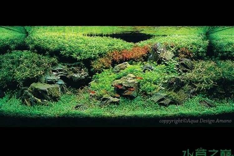 中国的地理位置是什么半球