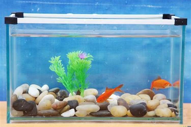 室内隔断最简单的方法