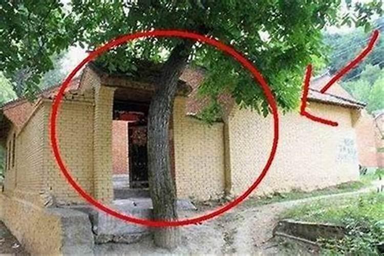 什么样的住宅风水好又好