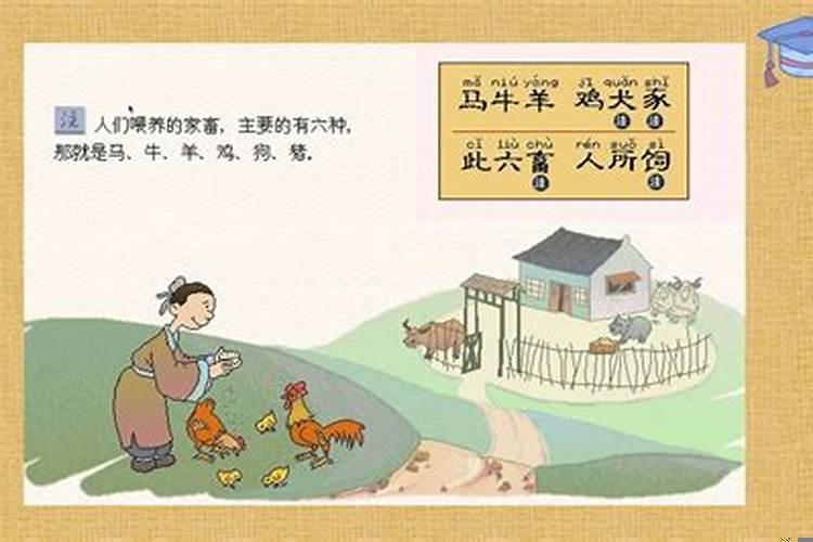 牛蛇天生一对,猪羊本是一家