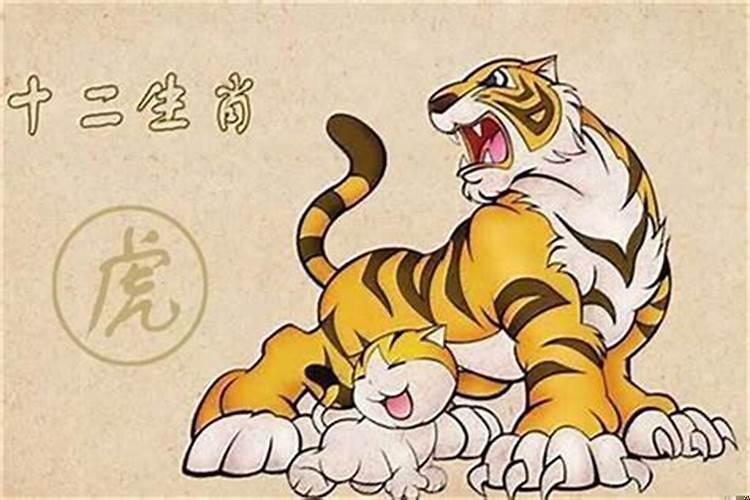生肖鼠和老虎配吗