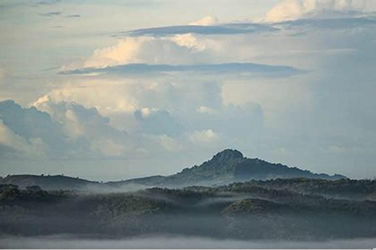 烂桃花运指什么