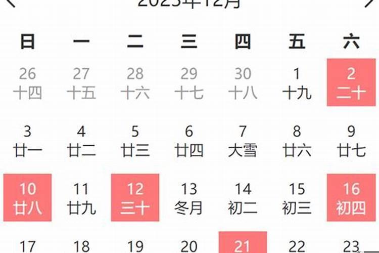 2025年2月有31号吗