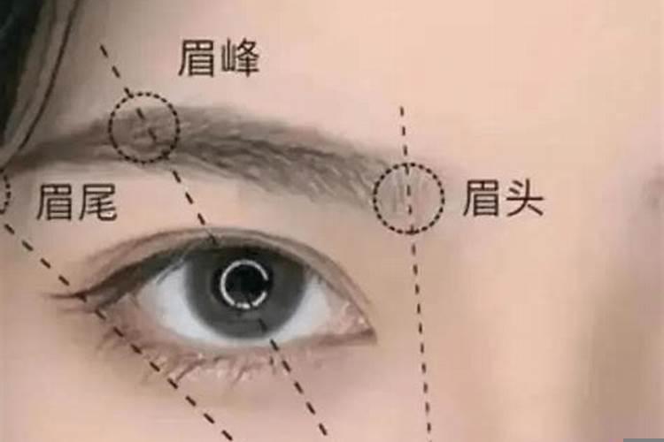 如何根据眉形论断运势高低的关系