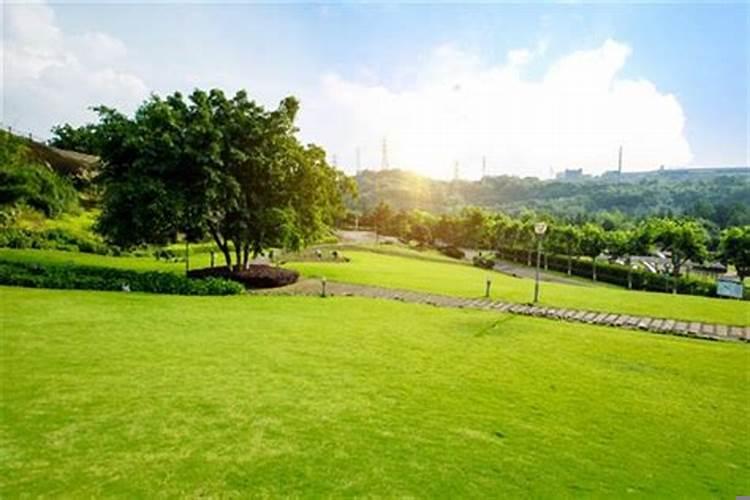 周公解梦梦见绿草地意味着什么呢