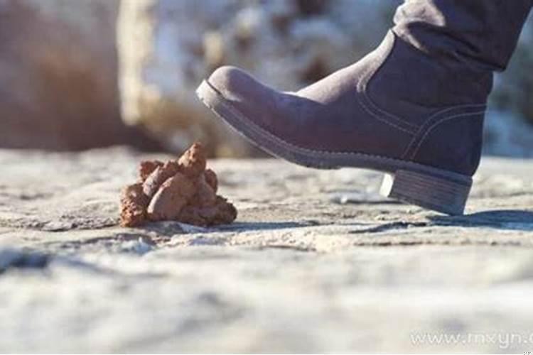 梦见踩了一脚屎预示着什么