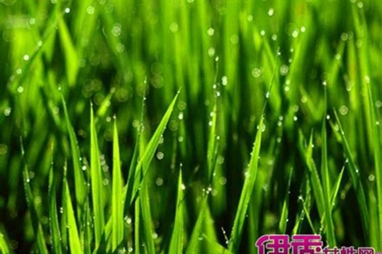 做梦梦见别人人头掉了