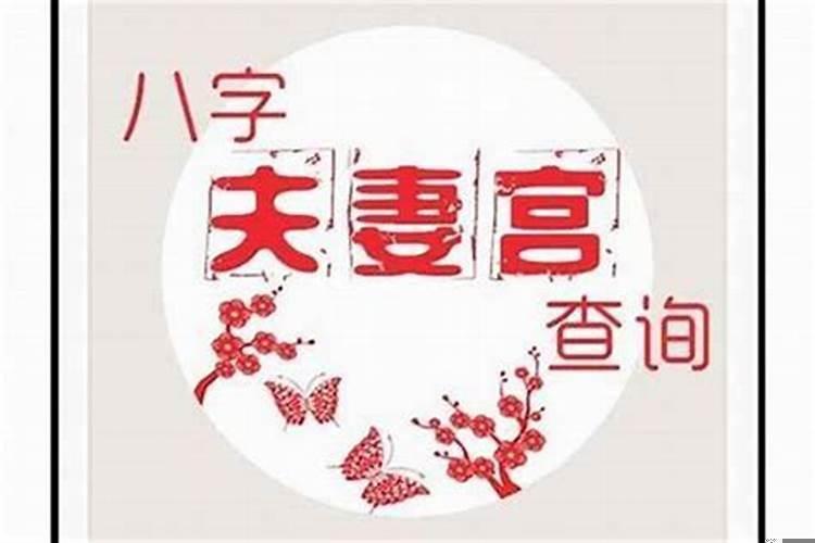 夫妻宫看八字哪里