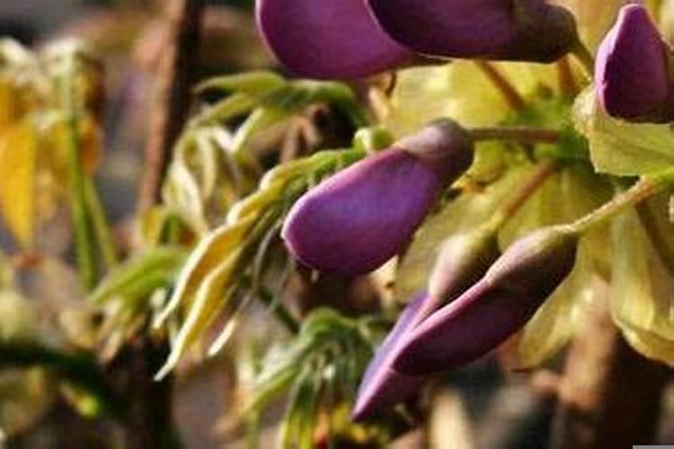 农历七月份搬家好不好