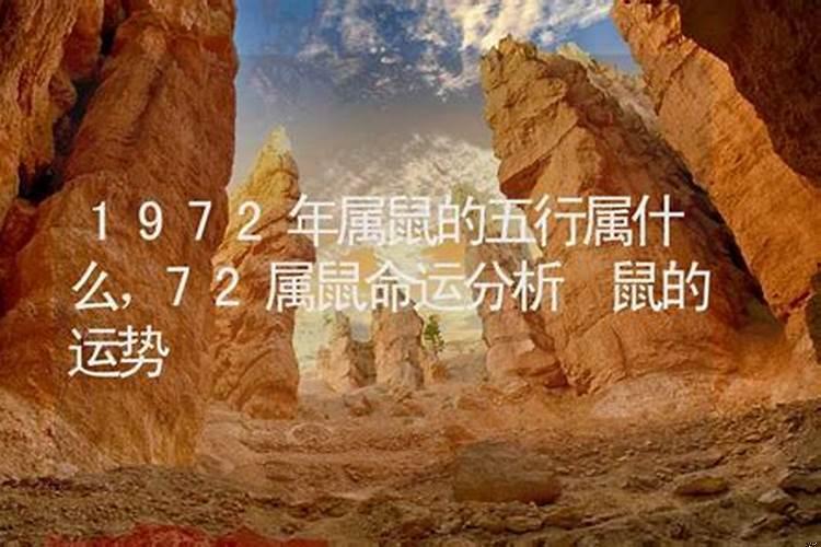 72年属鼠的是什么命