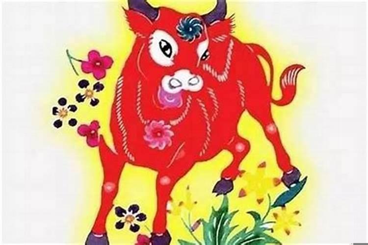 2025年属牛本命年生孩子好吗