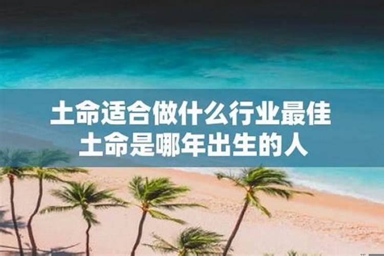 1980年适合什么行业