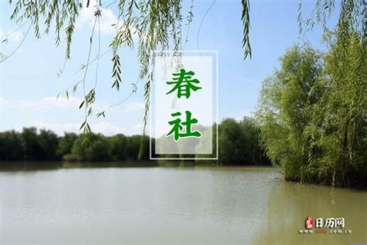 新坟要什么时候拜祭