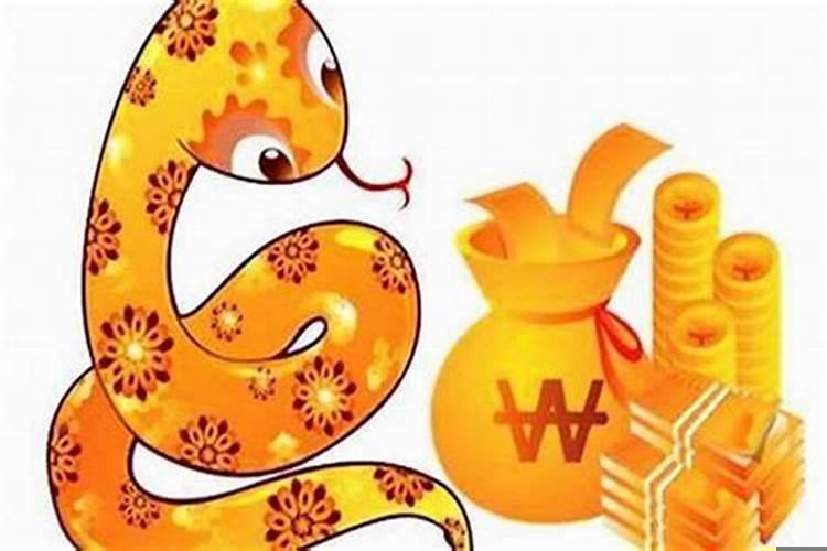 属蛇和属什么的最合适呢